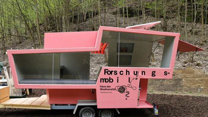 Ansicht, Weg der Vielfalt, Foto: Universalmuseum Joanneum/J.J. Kucek